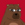 BOBO Coin icon