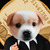 BUSINE icon
