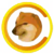CHEEMS icon