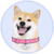 DogeGF icon