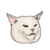 lmeow (LMEOW) token icon