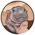 MOO DENG (MOODEN) token icon