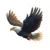 Meme Pad icon