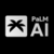 PALM icon