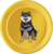 POCHI icon