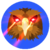 QOM icon