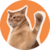 Catslap icon