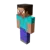STEVE icon
