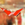 Swag icon